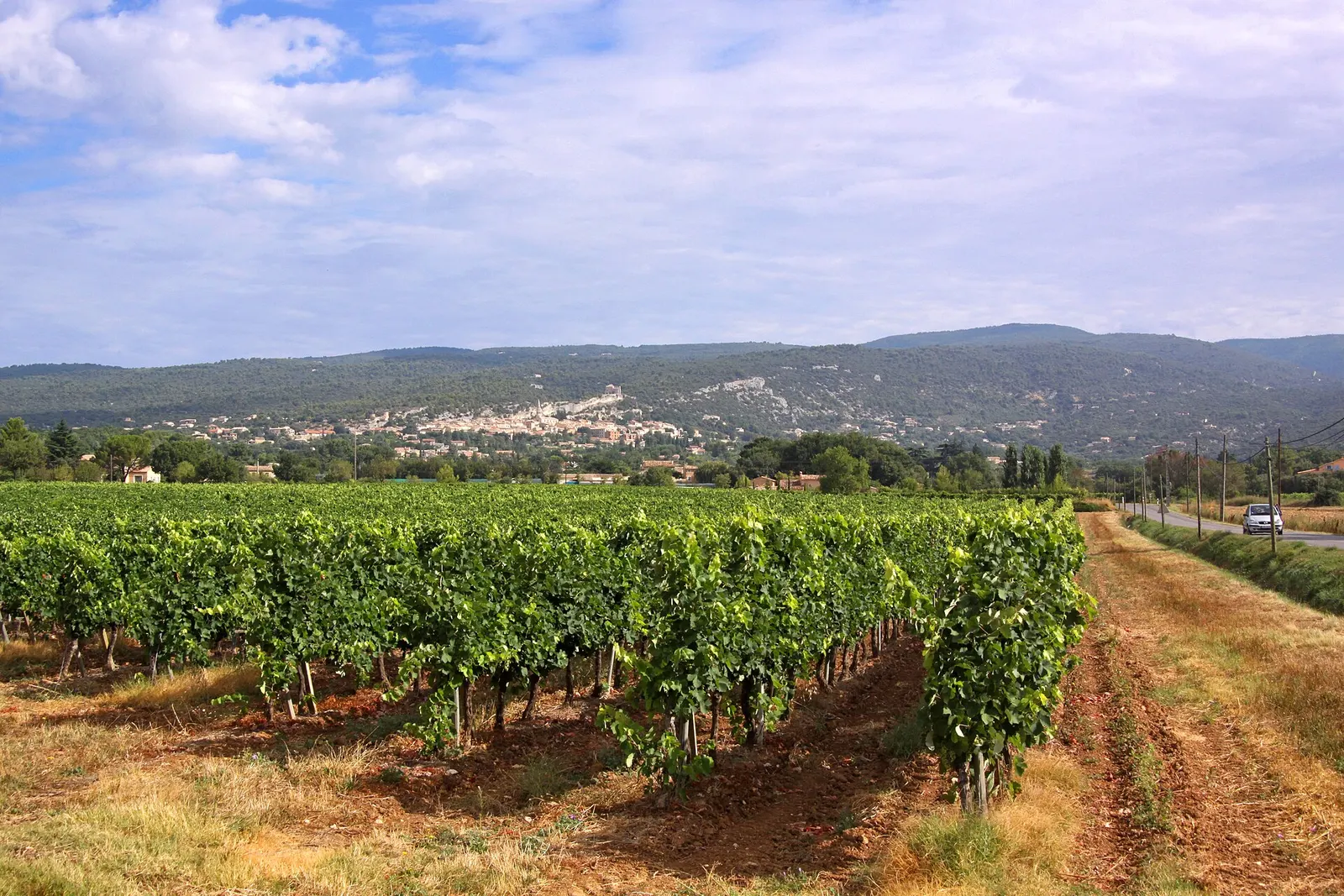 Salon des Vins d'Orange : dégustation et terroir (28 nov.)