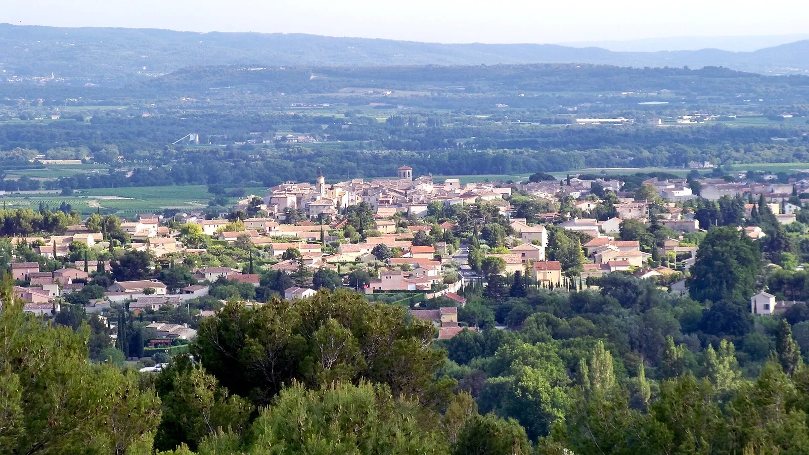 Olivades Citoyennes à Caromb : récolte d'olives participative
