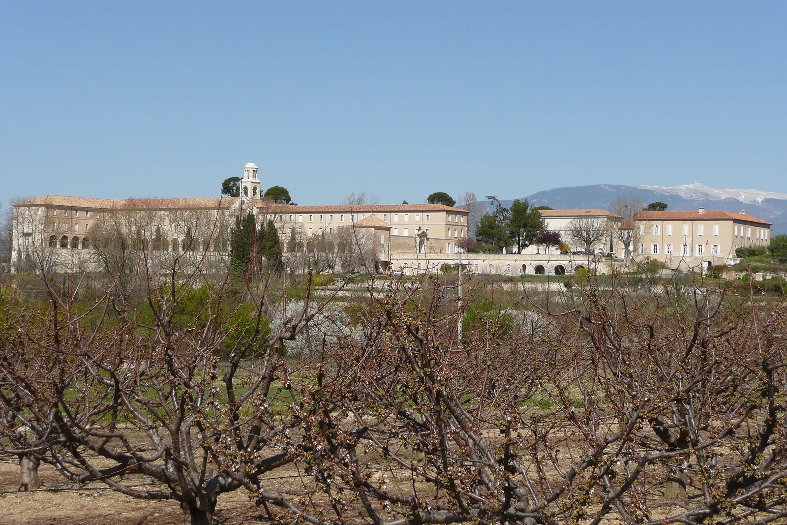 Festival Ventoux Saveurs : l'automne gourmand au pied du Ventoux