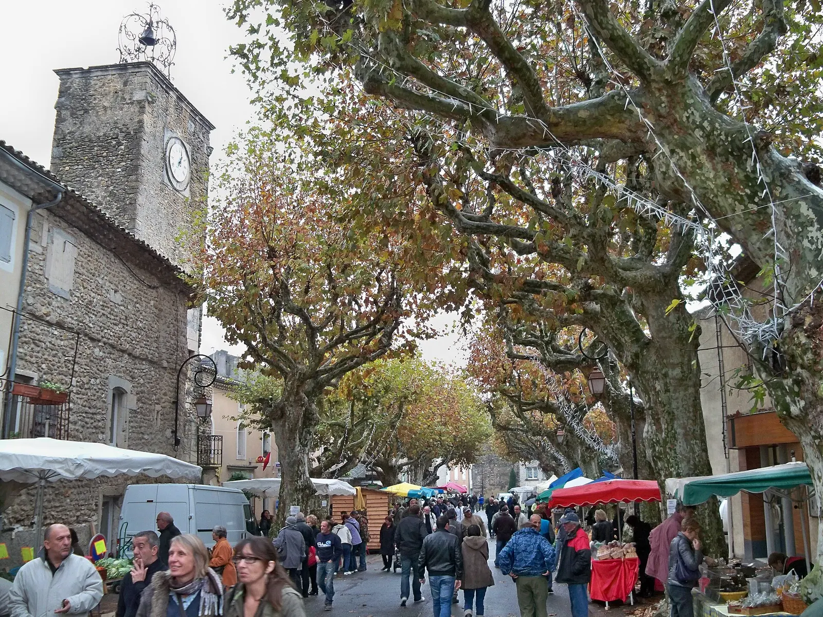 Marché aux truffes : l'or noir de l'automne en Drôme provençale